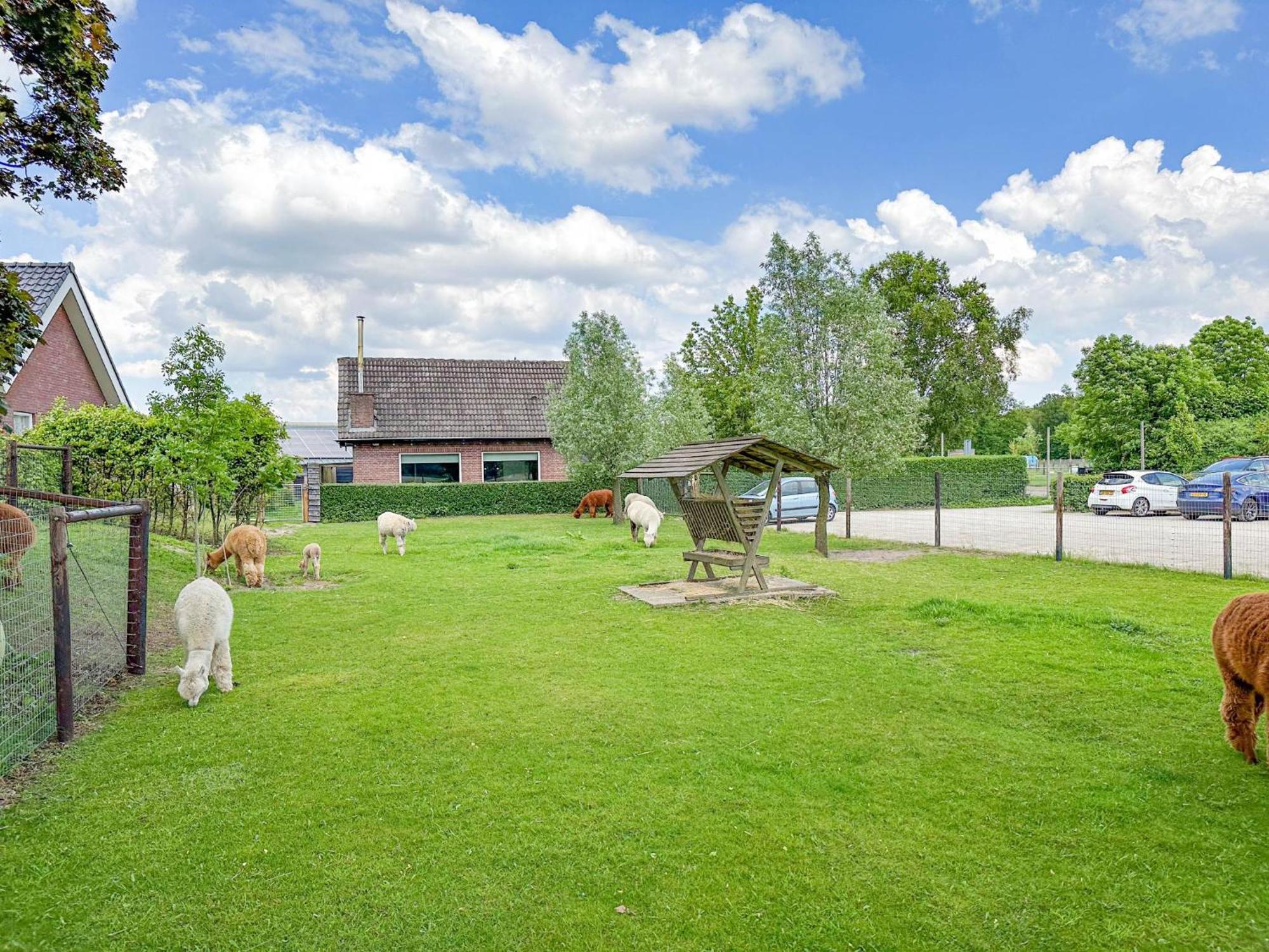 Alpacafarm Vorstenbosch Zewnętrze zdjęcie